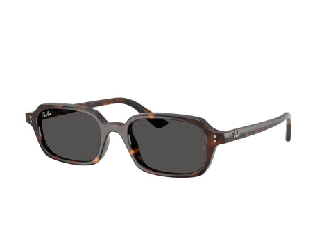 Ray-Ban 0RB4455 135987