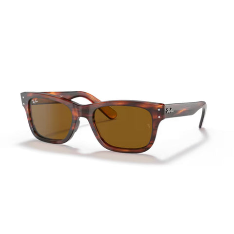 Ray-Ban 0RB2283 954/33