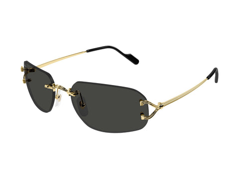 Cartier CT0663S 001