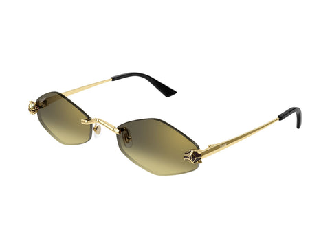 Cartier CT0433S 008