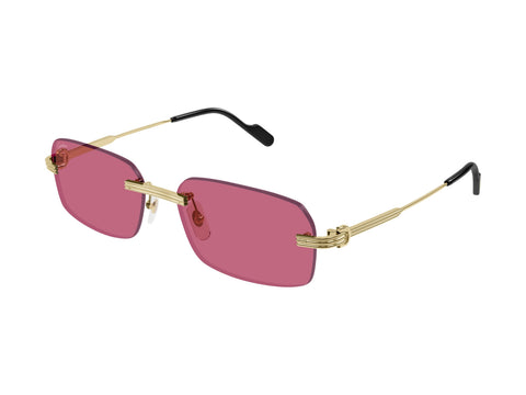 Cartier CT0271S 010