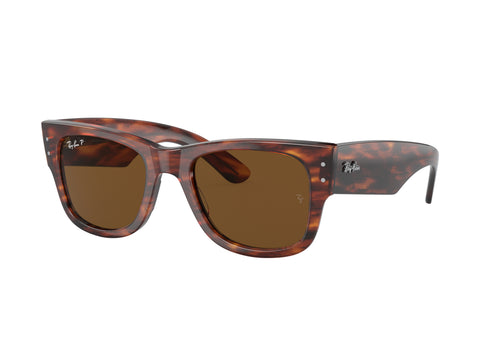 Ray-Ban 0RB0840S 954/57