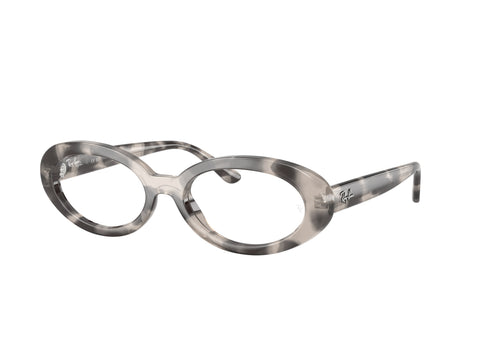 Ray-Ban 0RX2223V 8480