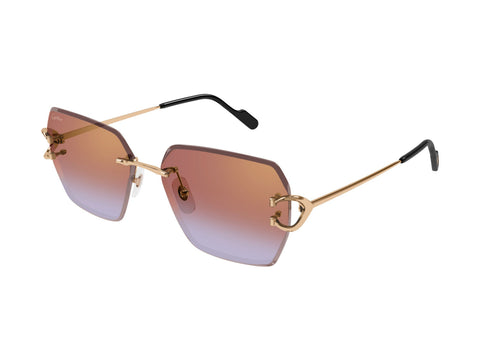 Cartier CT0466S 005
