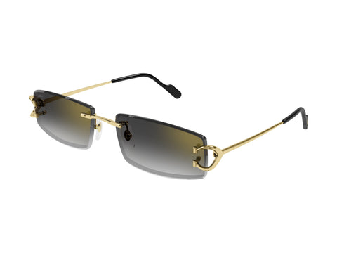 Cartier CT0465S 001