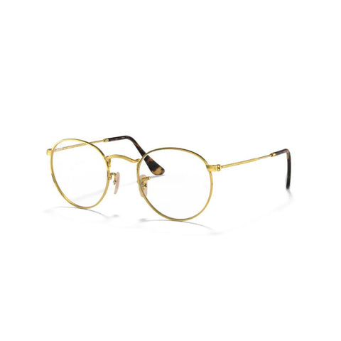 Ray-Ban 0RX3447V 2500