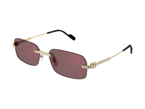 Cartier CT0271S 008