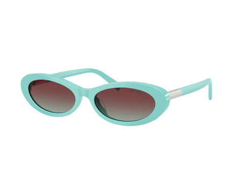 TIFFANY & CO 0TF4250 8388v5