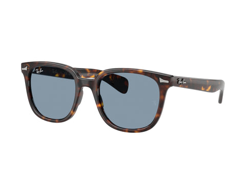 Ray-Ban 0RB2235 902/56