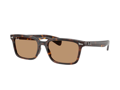 Ray-Ban 0RB2234 902/53
