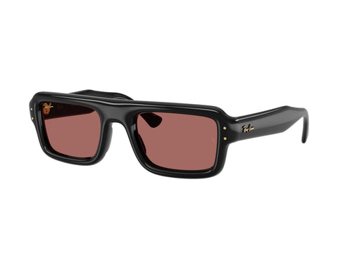 Ray-Ban 0RB4954 601/69