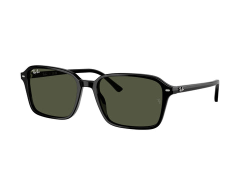 Ray-Ban 0RB2231 901/31
