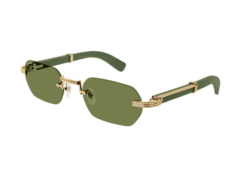 Cartier CT0362S 006