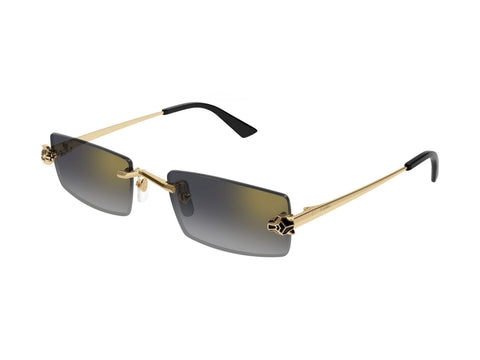 Cartier CT0598S 001