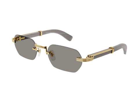 Cartier CT0362S 005