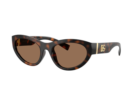 DOLCE & GABBANA 0DG6207 502/73