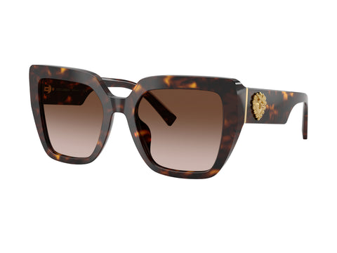 DOLCE & GABBANA 0DG4538 502/13