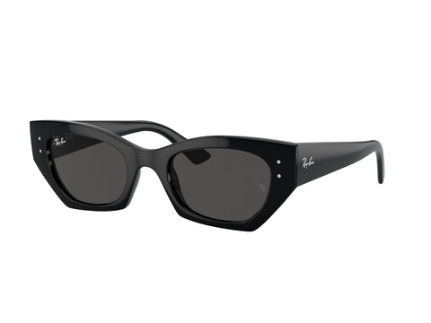 Ray-Ban 0RB4430 667787