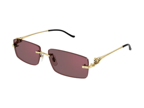 Cartier CT0430S 009