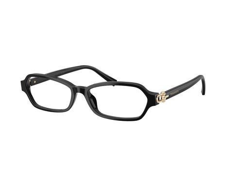 TIFFANY & CO 0TF2293U 8001