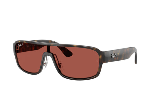 Ray-Ban 0RB2233 710/1b