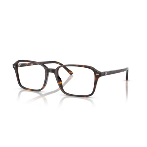 Ray-Ban 0RX5431 2012