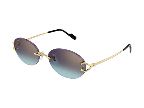 Cartier CT0551S 008