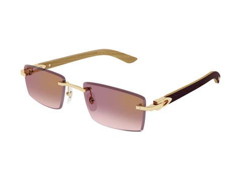Cartier CT0582S 002