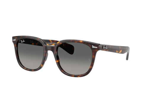 Ray-Ban 0RB2235 902/71