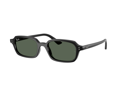 Ray-Ban 0RB4455 667771