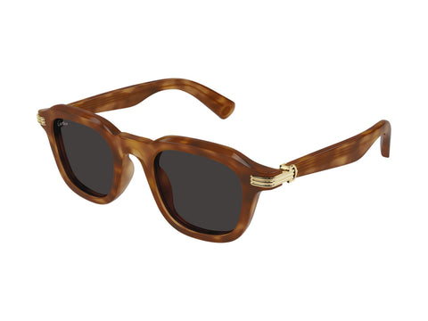Cartier CT0536S 006