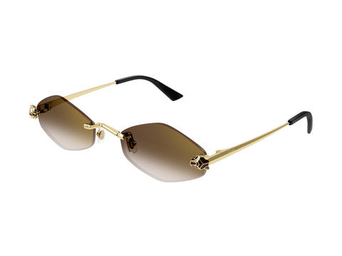 Cartier CT0433S 002