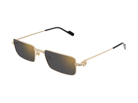 Cartier CT0501S 005