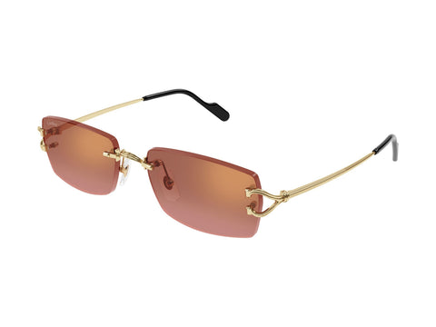 Cartier CT0550S 005