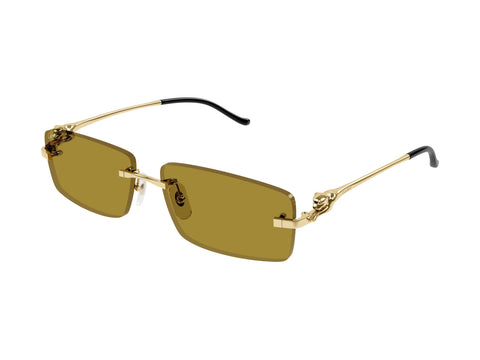 Cartier CT0430S 003