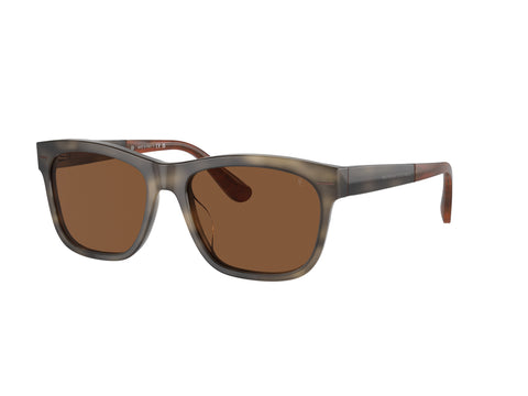 Brunello Cucinelli 0BC4003S 1008n9