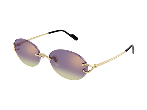 Cartier CT0551S 006