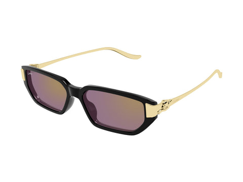 Cartier CT0674S 004