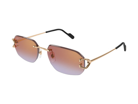 Cartier CT0468S 005