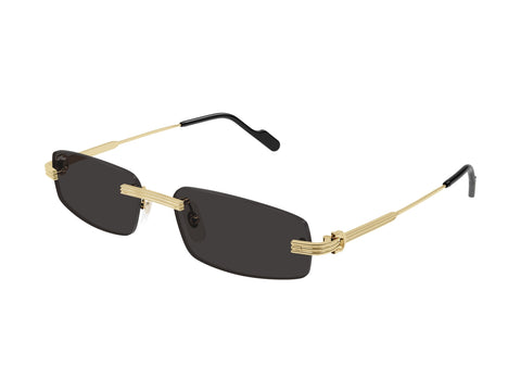 Cartier CT0535S 001