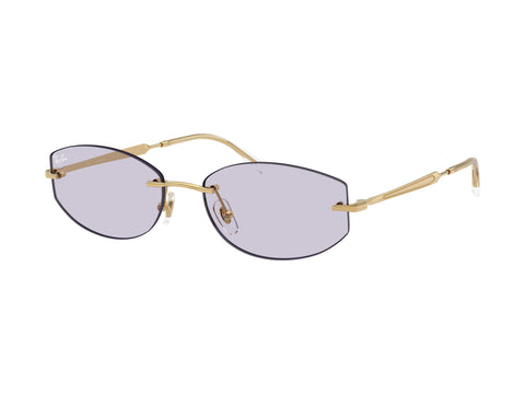 Ray-Ban 0RB3792 001/mh