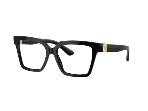 DOLCE & GABBANA 0DG3395 501